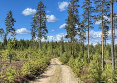 Offroad Norwegen Zu den Flisa Stromschnellen