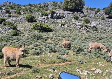 Offroad Italien Am Gigantengrab