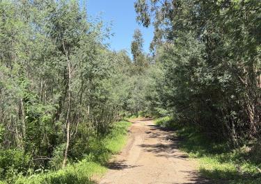 Offroad Portugal Backcountry Pisten bei Silves