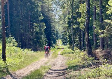 Offroad Deutschland Daller Weg