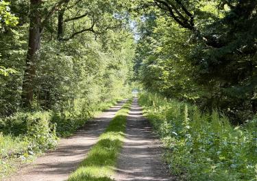 Offroad Deutschland Postmoor-Piste