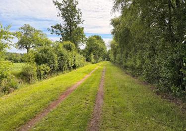 Offroad Deutschland Rechts und links der Stör