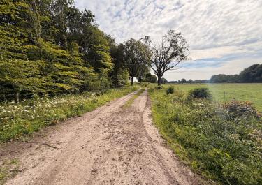 Offroad Deutschland Zwischen Kellinghusen und Bad Bramstedt