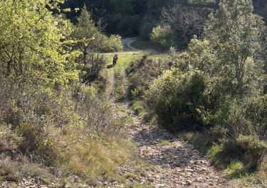 Offroad Frankreich Rund um Rochecolombe