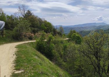 Offroad Griechenland Durch die Wälder nach Chionato