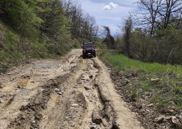 Offroad Griechenland Durch die Wälder nach Chionato