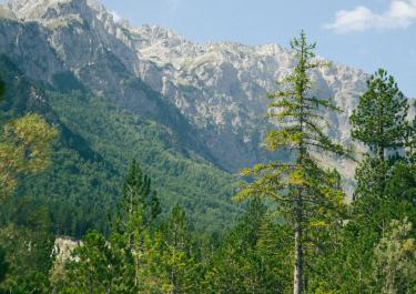 Explore the breathtaking mountainous landscape of Valbonë in Kukës County, Albania.