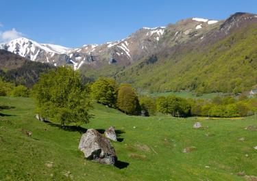 Explore the lush landscape of Mont-Dore, France with vivid greenery and snow-capped peaks.