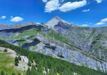Stunning aerial view of the French Alps with lush greenery under a clear blue sky.