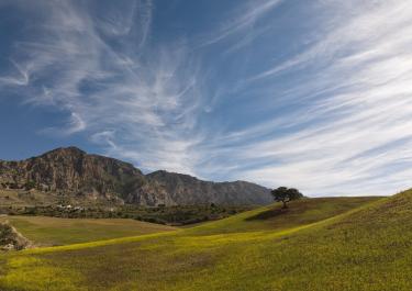 Beautiful view of rolling hills and clear blue sky in the Málaga countryside.